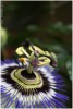 photo dans la sidebar