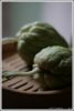 photo dans la sidebar
